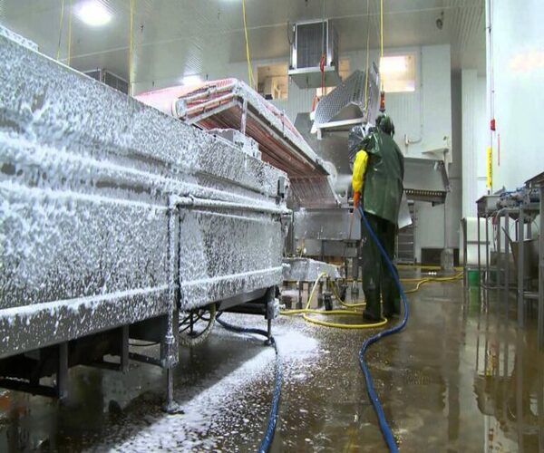 En Alimentaria el plan de limpieza y desinfección ( L + D ) tiene como fin eliminar la suciedad y mantener controlada bajo mínimos la carga microbiana.

		Se debe actuar sobre todas las superficies de trabajo, paredes, suelos, techos, cadena de producción, equipos y utensilios.

		Una utilización del producto químico adecuado y la maquinaria de última generación es fundamental para conseguir la desinfección y limpieza perfectas.